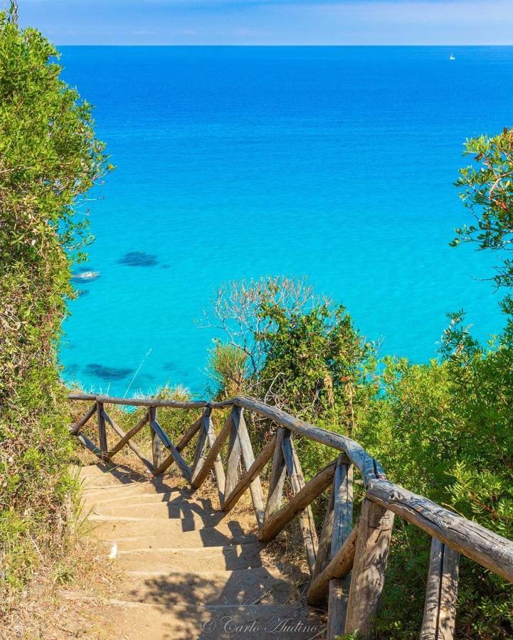 Appartamenti Orchidea Tropea Esterno foto